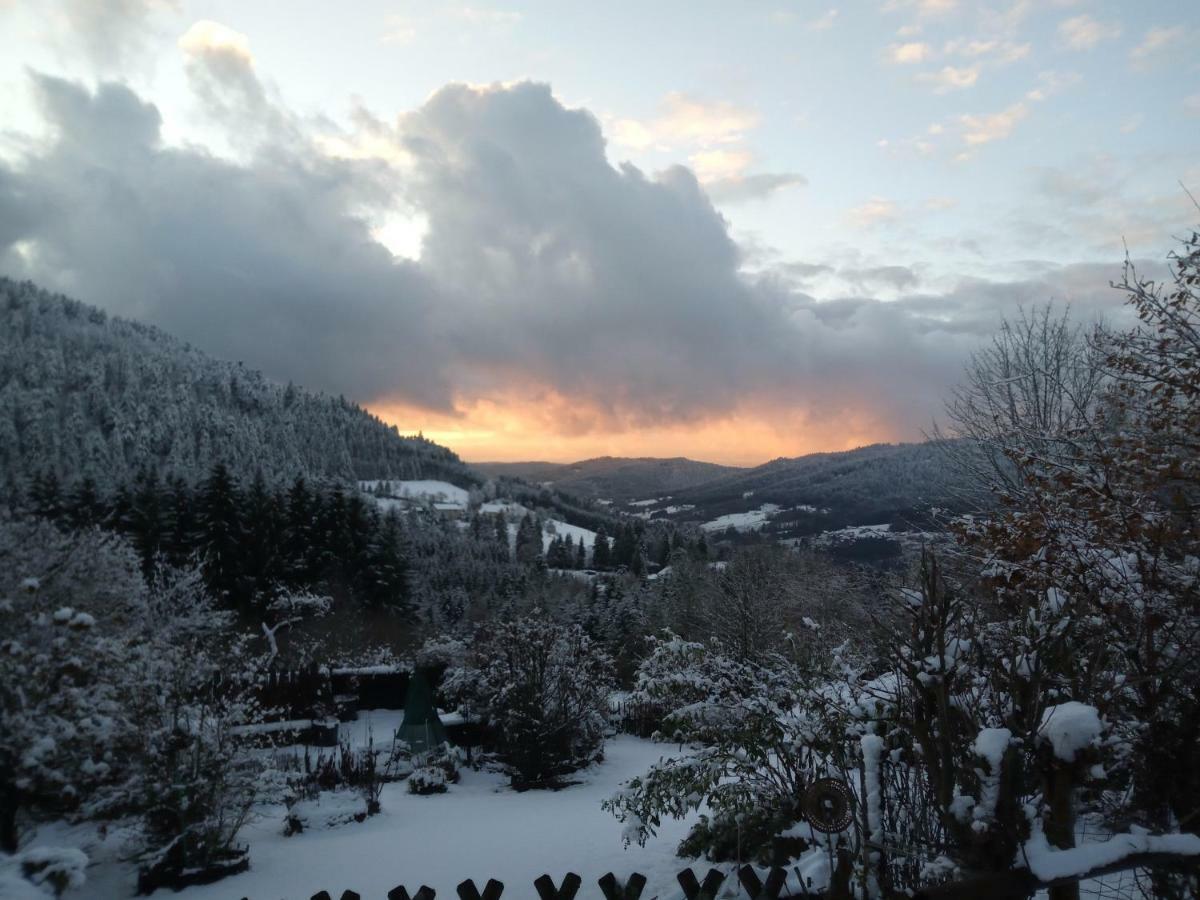 Gite Du Poirier Le Tholy Exterior foto